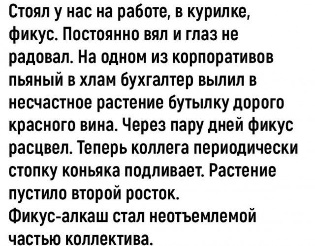 Так себе картинки 26.04.24