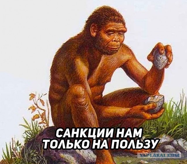 Владелец AliExpress перестал доставлять заказы в Россию