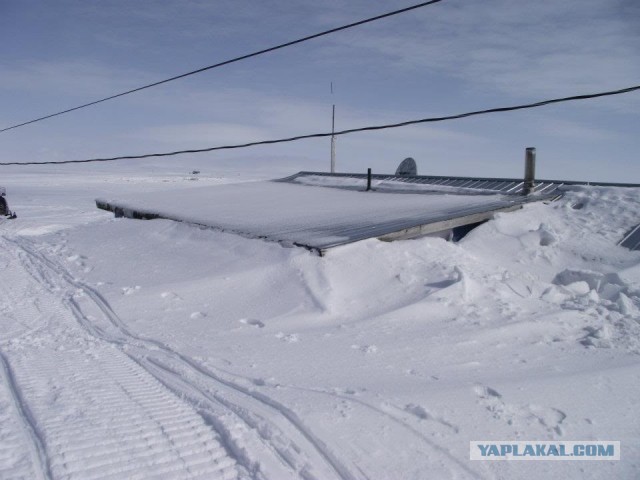 Занимательная Аляска