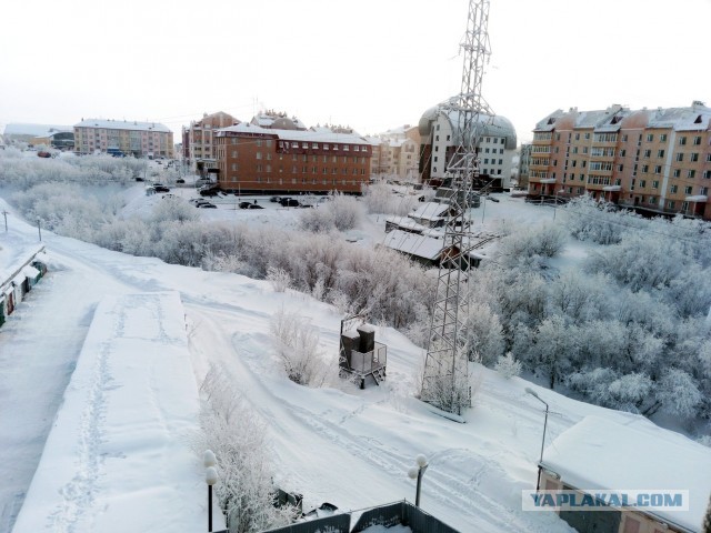 Съездил в Салехард, "жемчужину" Ямала