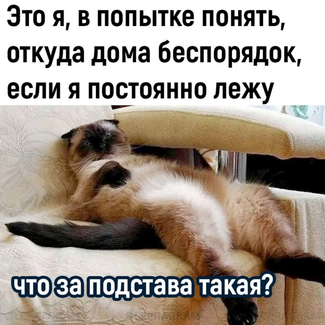 Весёлый полтишок 27.09.24