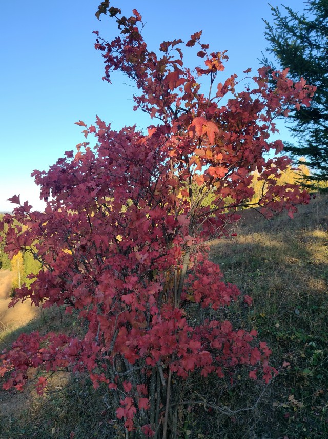 Осень на озёрах 2