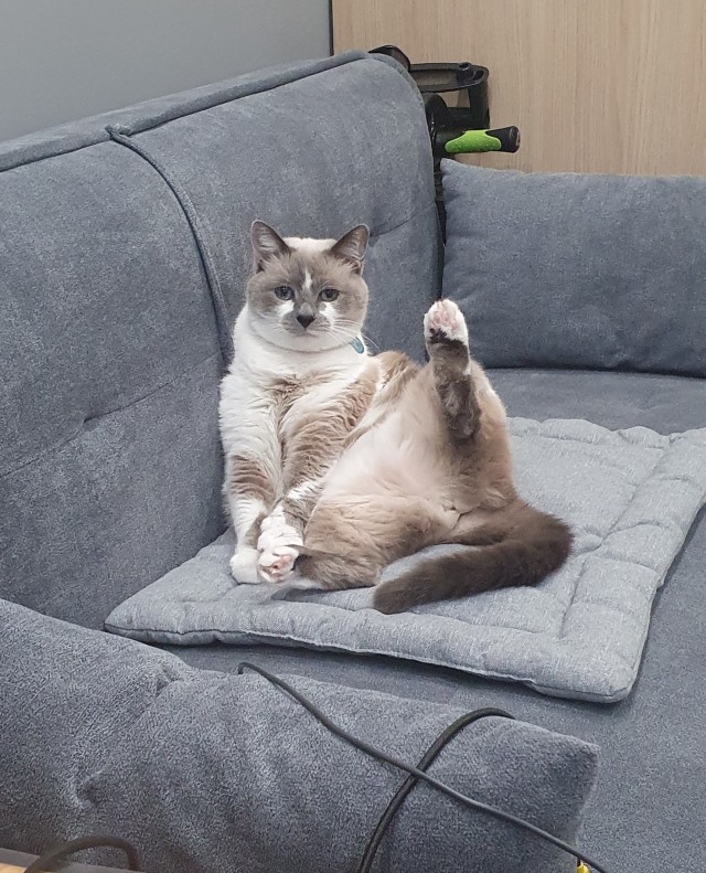 А это моя киска!