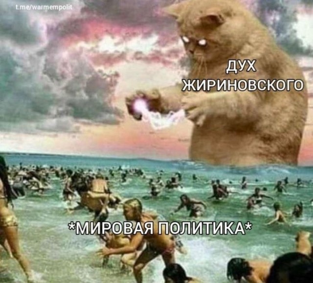 Предсказание Жириновского
