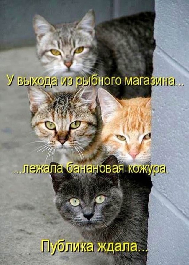 Завалялось тут случайно немного забавных картинок