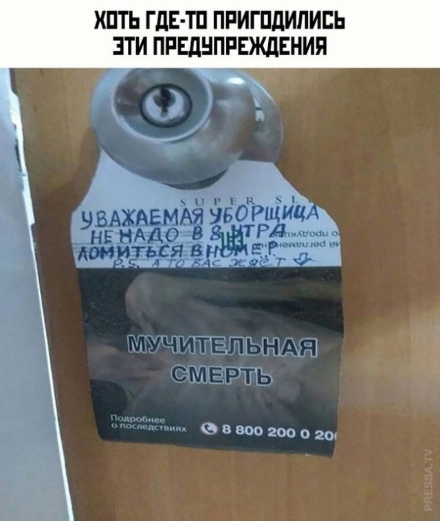 Веселые картинки в пятницу (14.02)