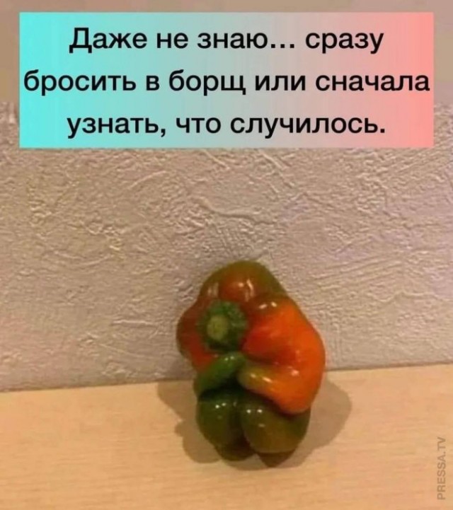 Веселые картинки в понедельник (24.02)