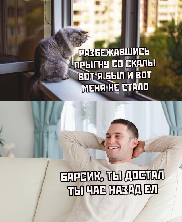 Завалялось тут случайно немного забавных картинок