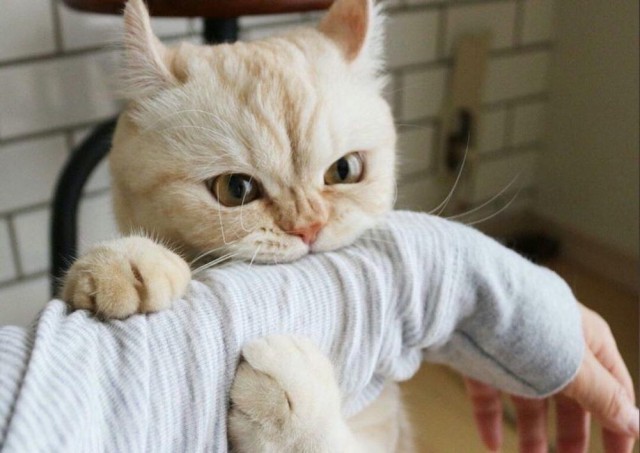 Прикольные и просто красивые картинки 04.04.2025