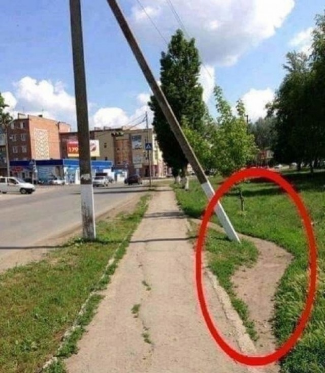 Так себе картинки 27.05.25
