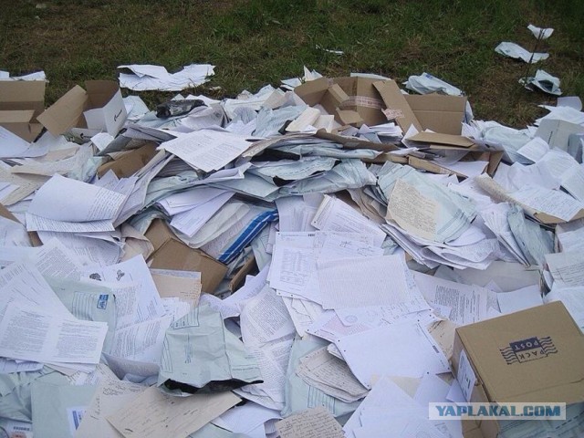 Стало известно зачем Социальный фонд вдруг начал уничтожать выплатные дела пенсионеров