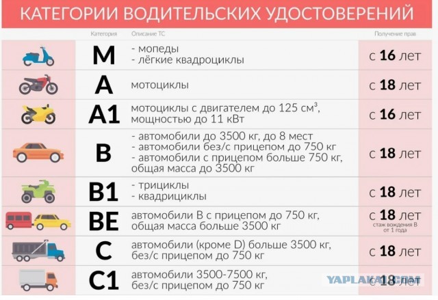 Питбайки будут продавать подросткам только по справке из мотошколы