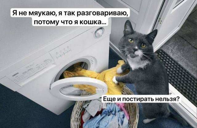 Россиян предупредили о штрафе за уборку квартиры в вечернее время