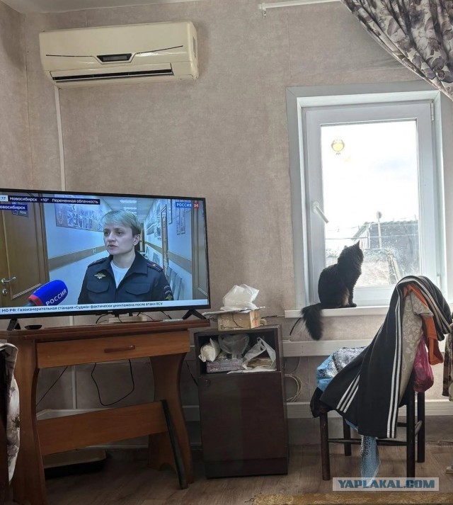 Спортсменка, комсомолка...