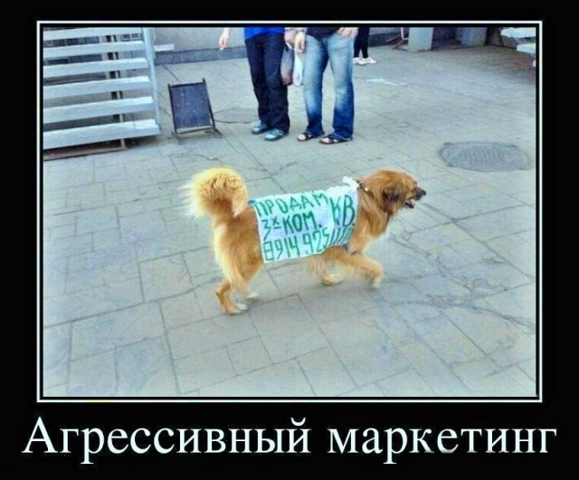 Так себе картинки 29.11.25
