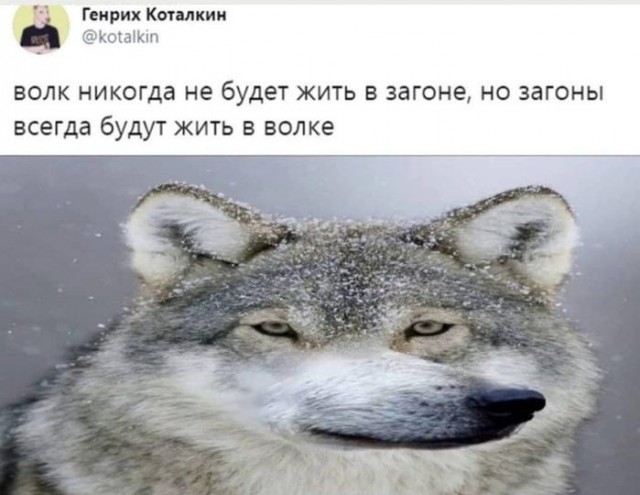 Картинки для деградации 117 (разной степени свежести)