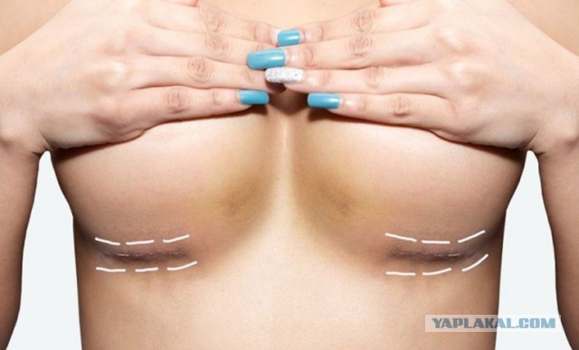 Кошка не выдержала такого преображения