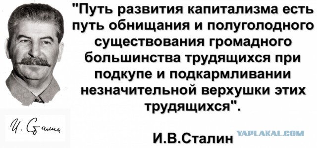 Число долларовых миллиардеров в России выросло на 16 человек за год