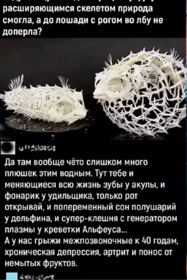 Среды картинки