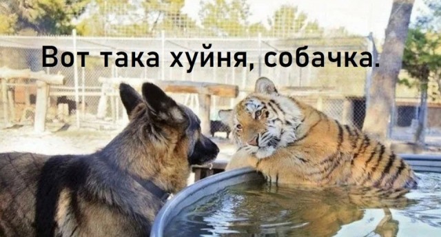 Так вот оно значится как