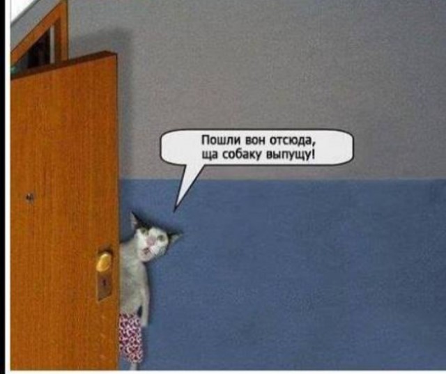 Поймать момент!
