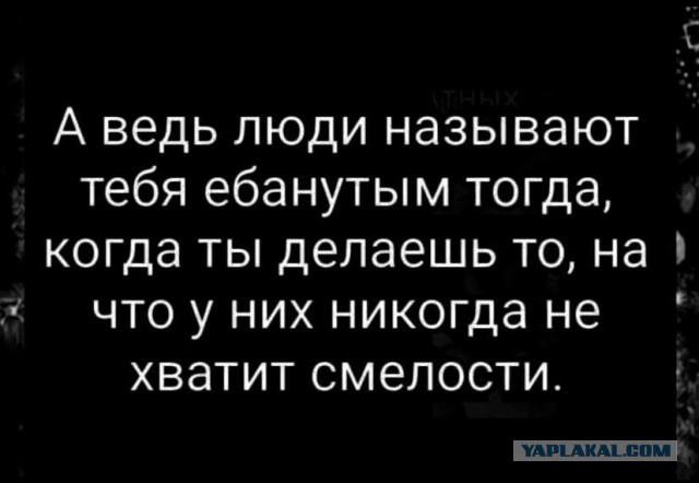Картинки для деградации 253 (разной степени свежести)