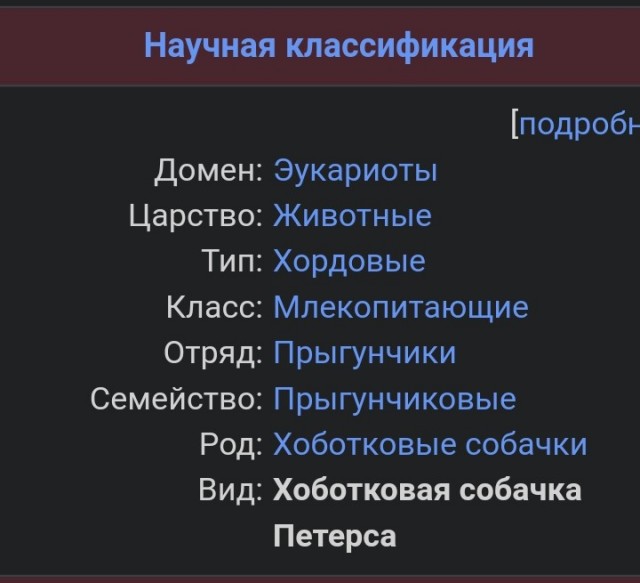 Баяноведы ЯПа