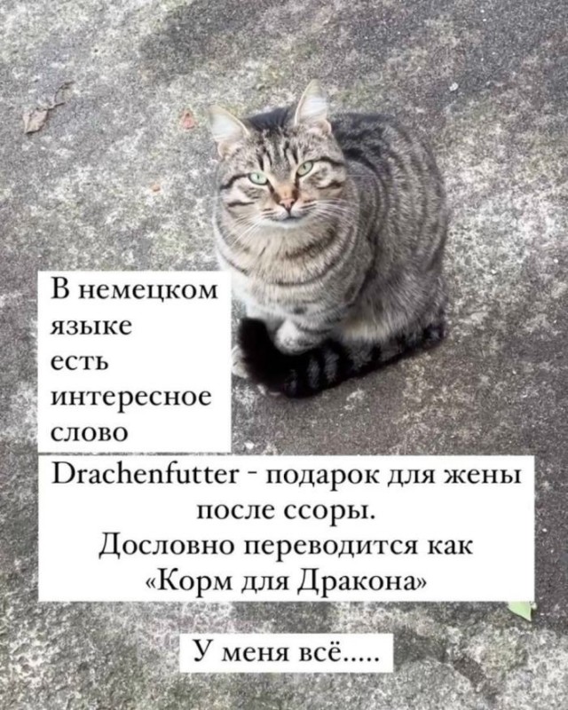 Картинки для деградации 306 (разной степени свежести)