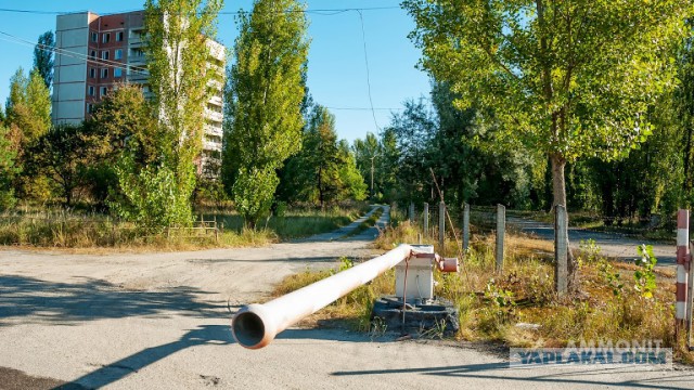 Припять — жизнь после людей.