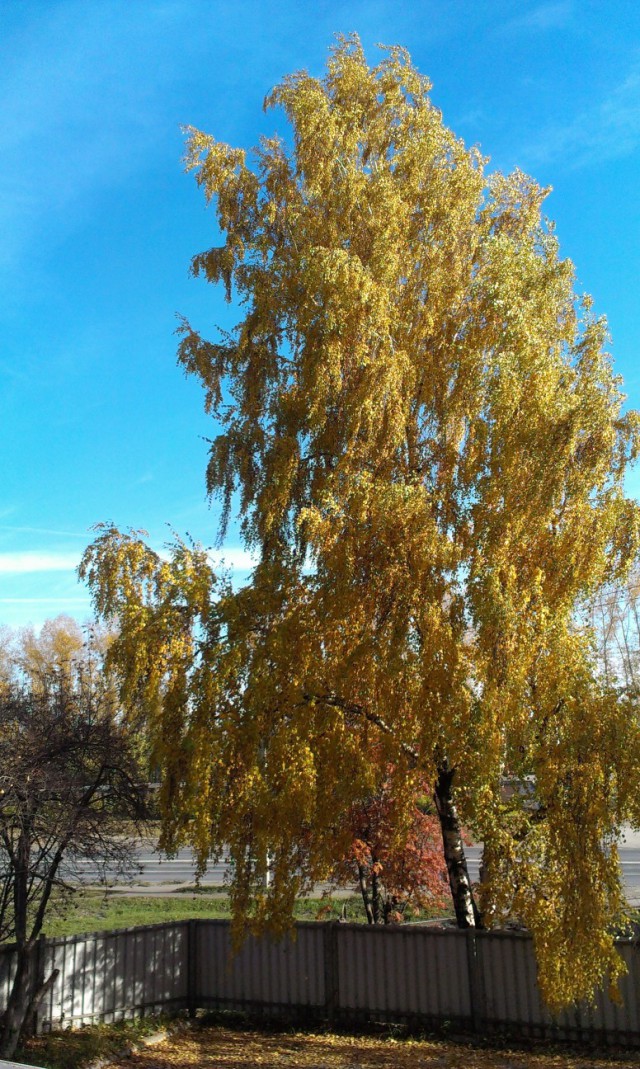 А что у Вас сейчас?