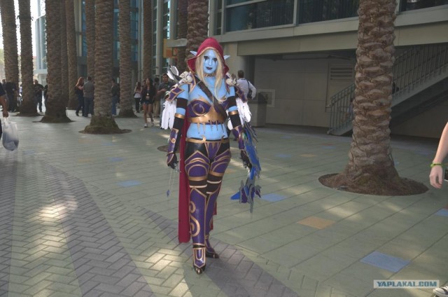 Blizzcon 2011: Конкурс костюмов.