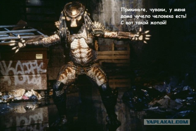 А они всё-таки есть...