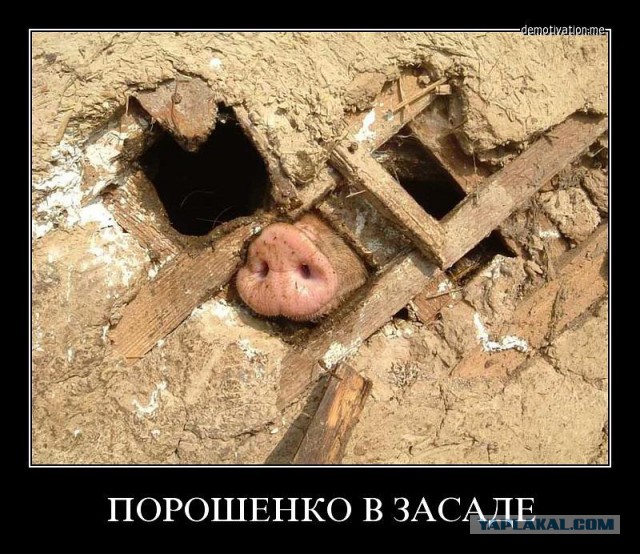 Украинская армия начала контрнаступление