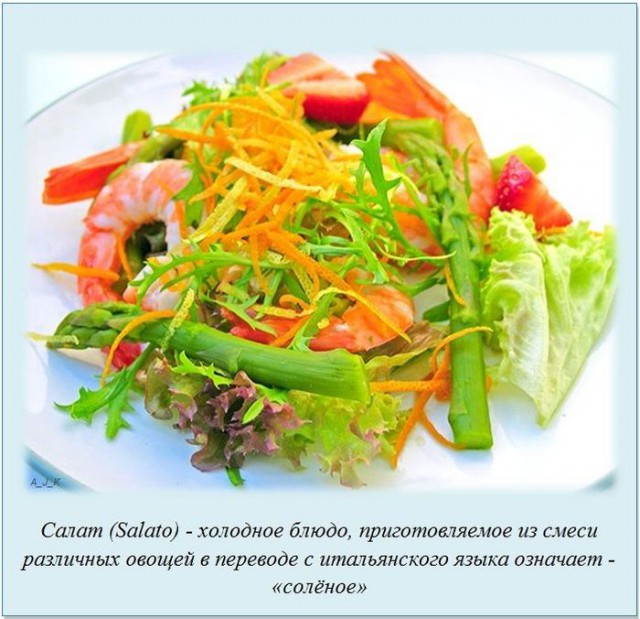 20 фактов обо всем