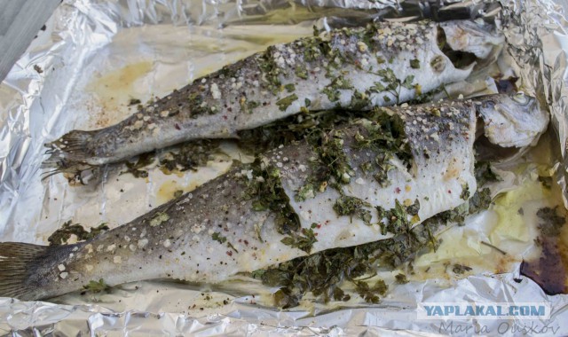 Тема памяти БоРмАnа и Дженибека, Готовим по рецептам ребят