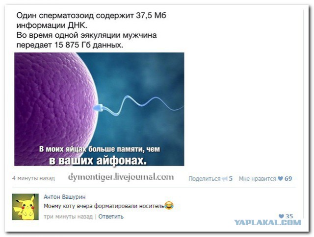 комментарии из соц сетей.