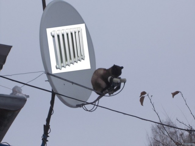 Спутниковая связь