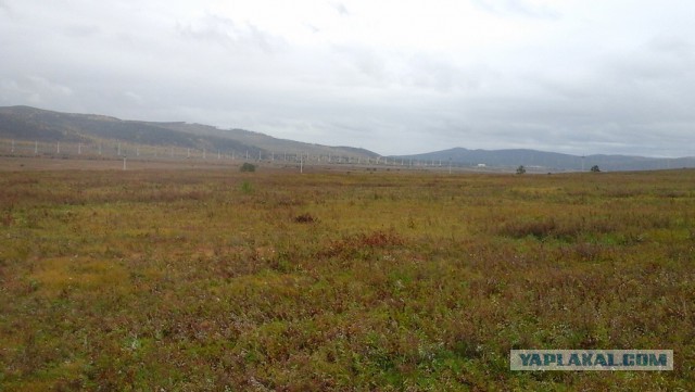 Правильной пятницы псто