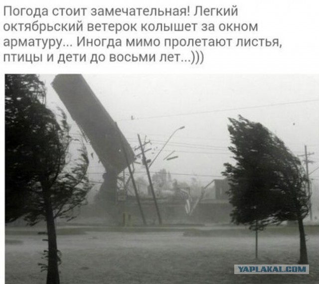 Картинки + гифки.