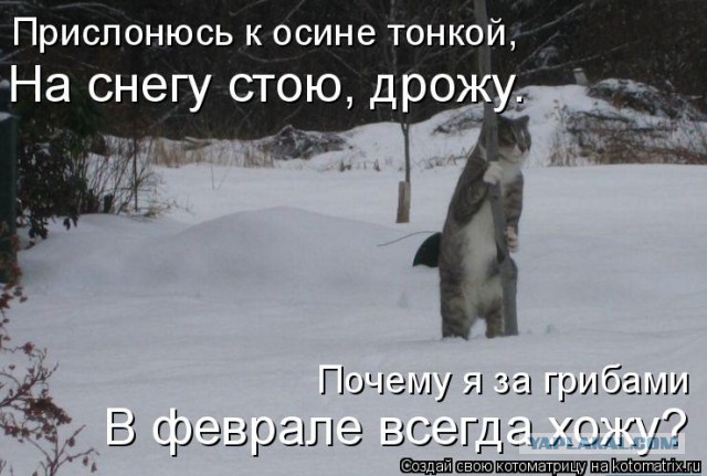 Как правильно варить картоху в мундире
