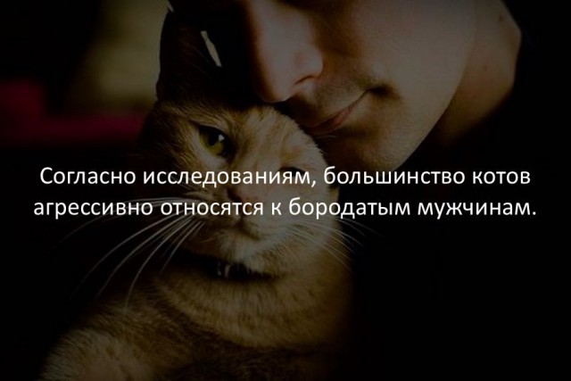 40 интересных фактов в картинках.