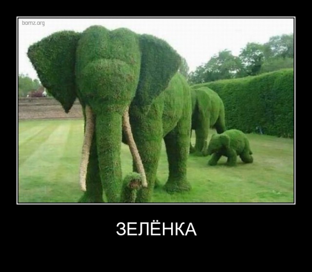 29 картинок