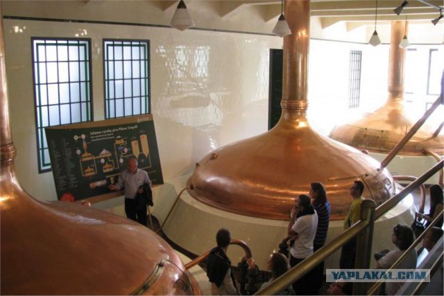 Экскурсия на завод Московской пивоваренной компании