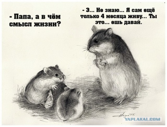 Тупик эволюции