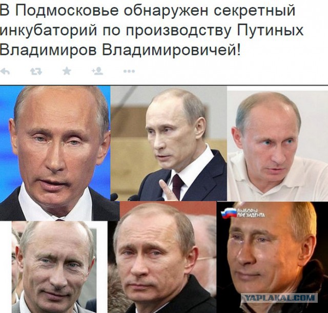Атака клонов: "типовых" губернаторов где-то выращивают?
