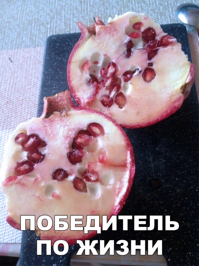 Прикольные картинки абавсём