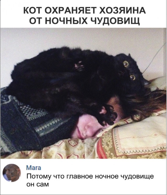 Прикольные картинки абавсём