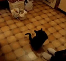 Товарищ командир, докладАю...