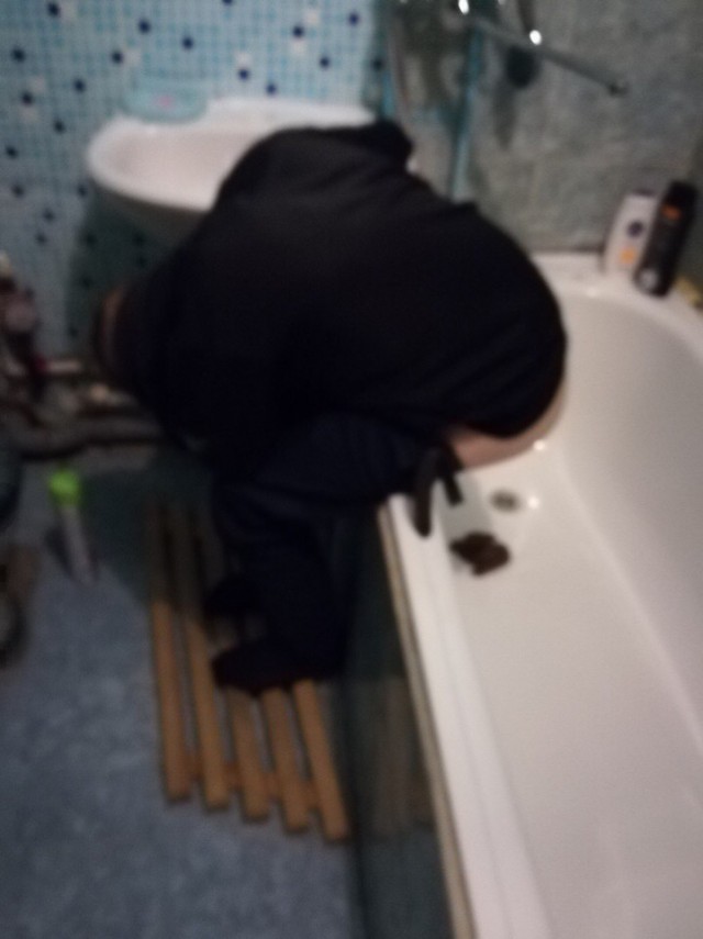 Скотсети и прочие интернеты 05.04.19