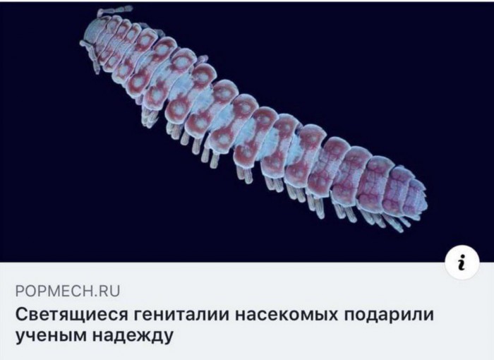 Черные шаги эволюции